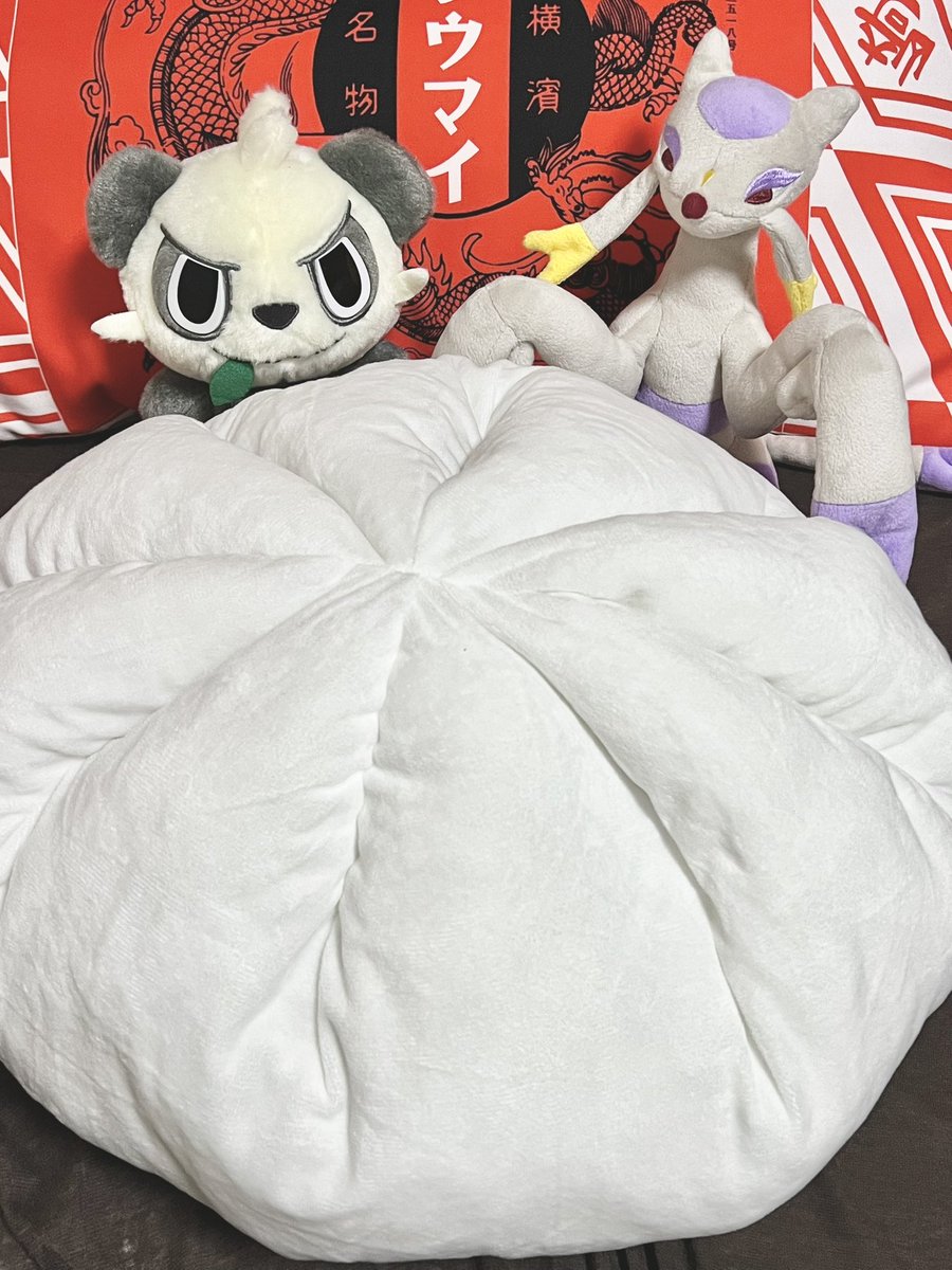 コジョンド老師と弟子のコジョフー tweet media