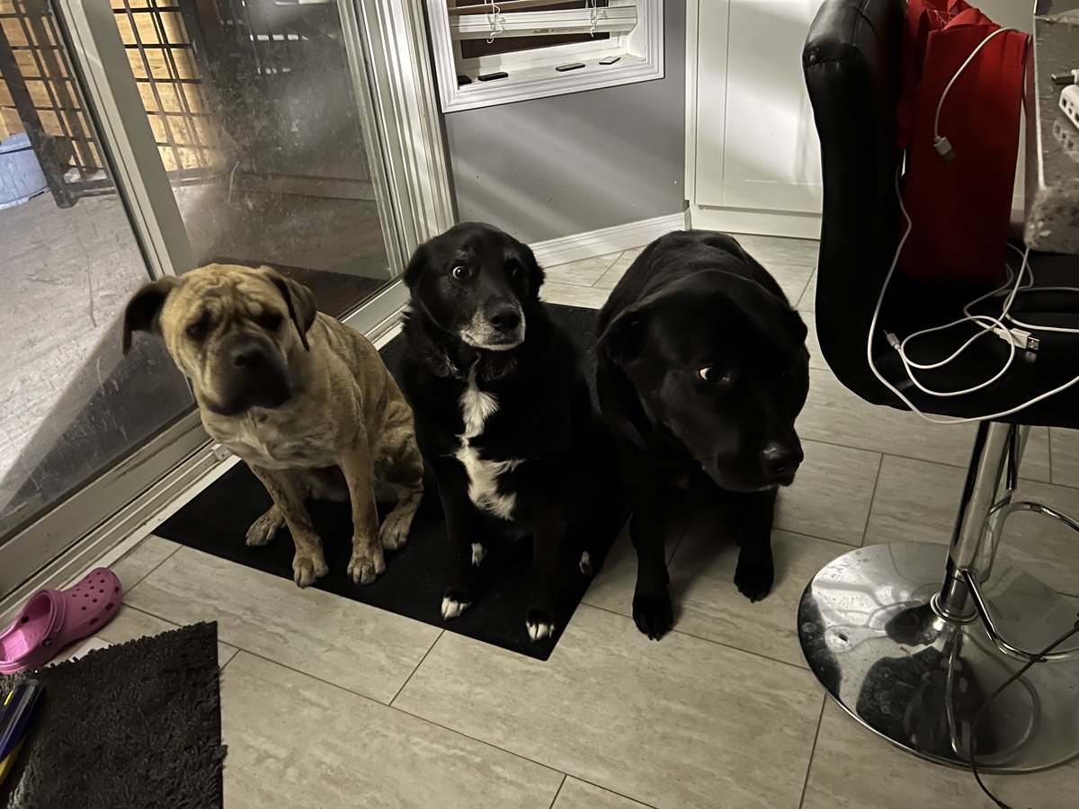 StonerDad 🇨🇦 tweet media