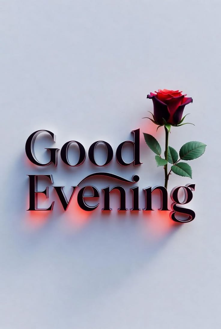 Raͥffͣuͫgar ❤️‍🩹سالار سکندر🌹بادیانِ وفا tweet media