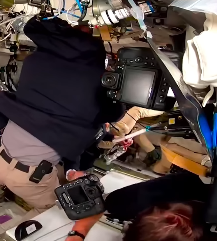 Tarmurop tweet media