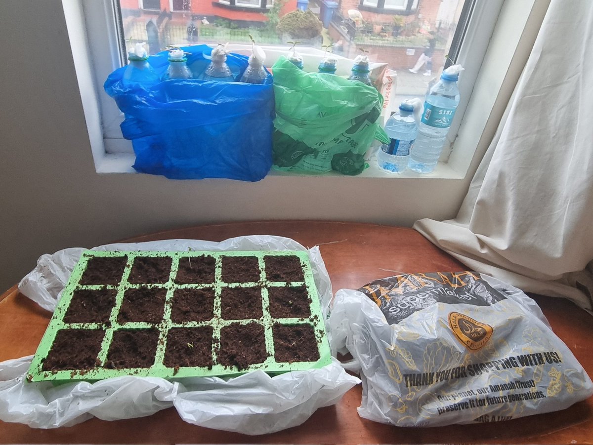 HAx 🪓🧟⚽️ tweet media