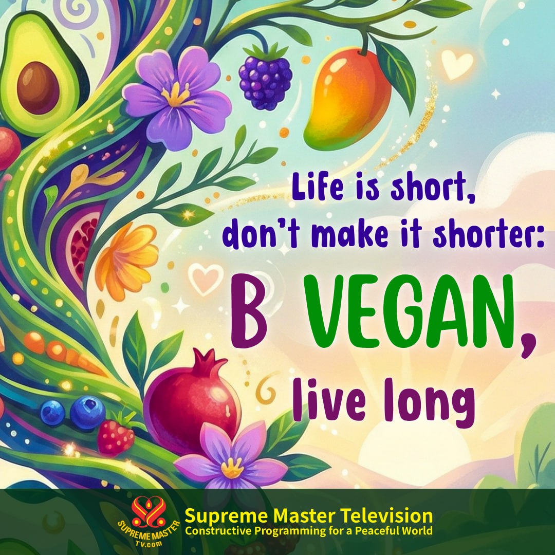 SupremeMasterTV.com tweet media