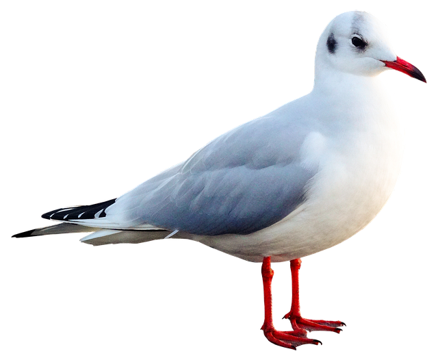 Marlin Haynes tweet media