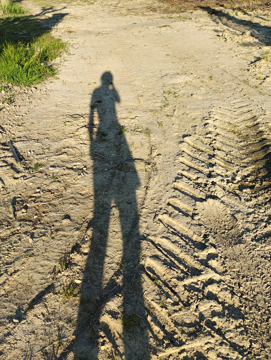 ɢᴇɴɴᴀʀɪɴᴏ ʟᴇꜱʙᴏʟʟᴀʜ tweet media