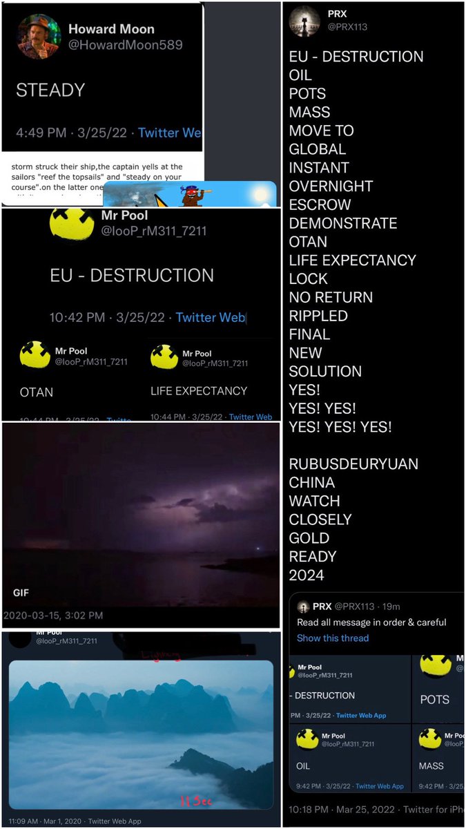 CooperDogDad tweet media