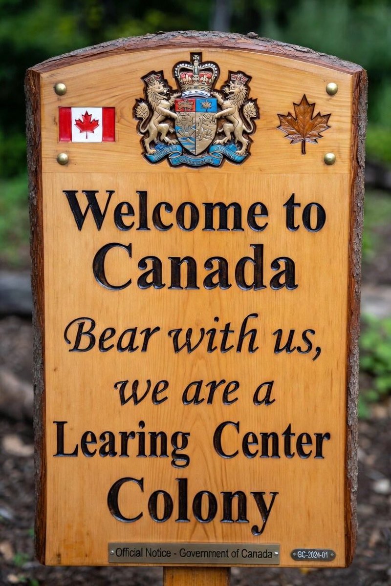 Ryan Gerritsen🇨🇦🇳🇱 tweet media