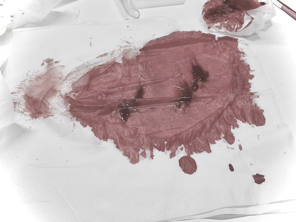 澪★彡 tweet media