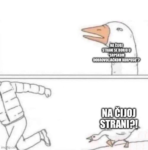 Milena Repajić tweet media