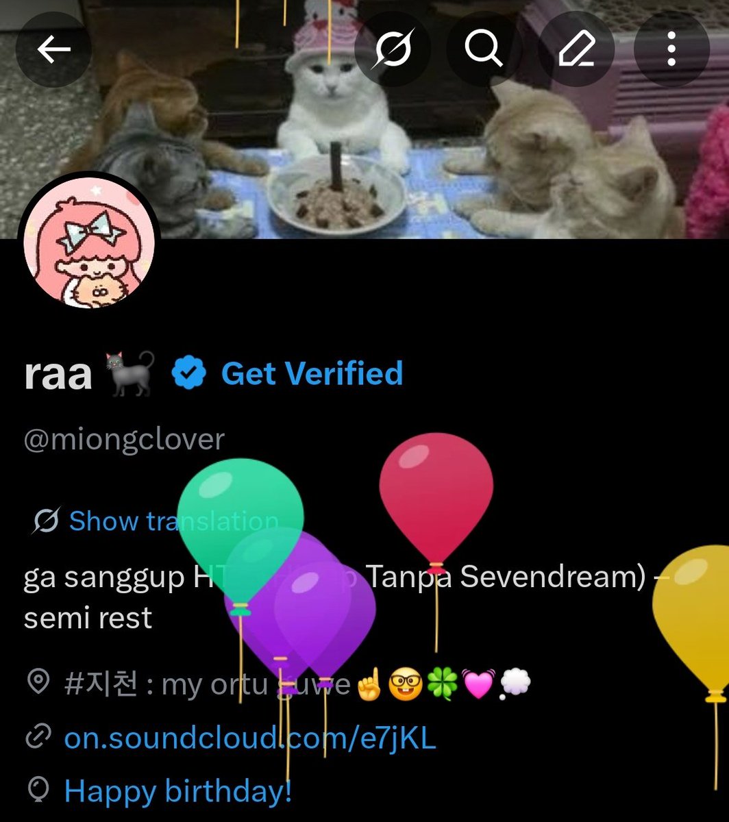 raa 🐈‍⬛ tweet media