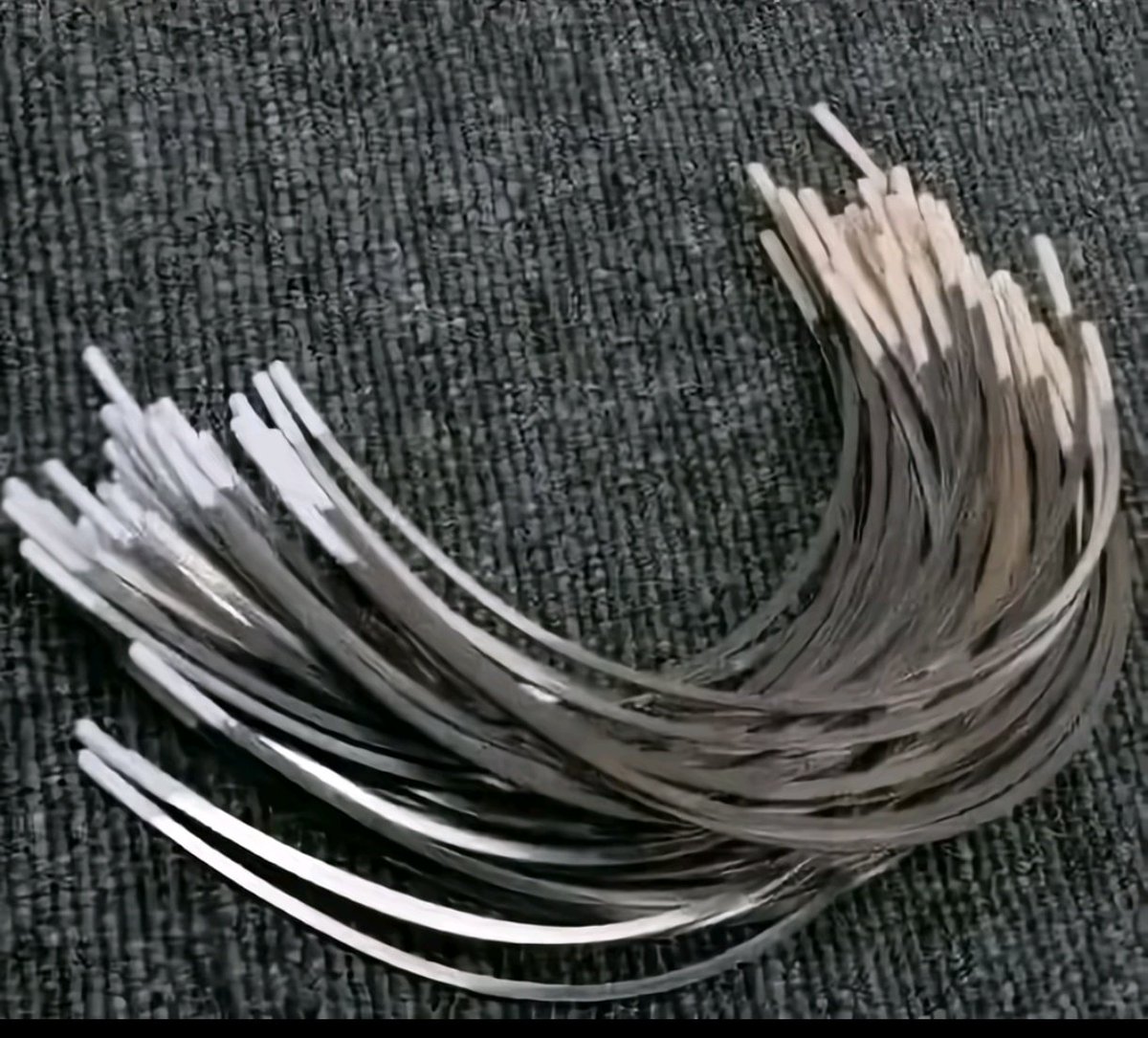 Profe Morado tweet media