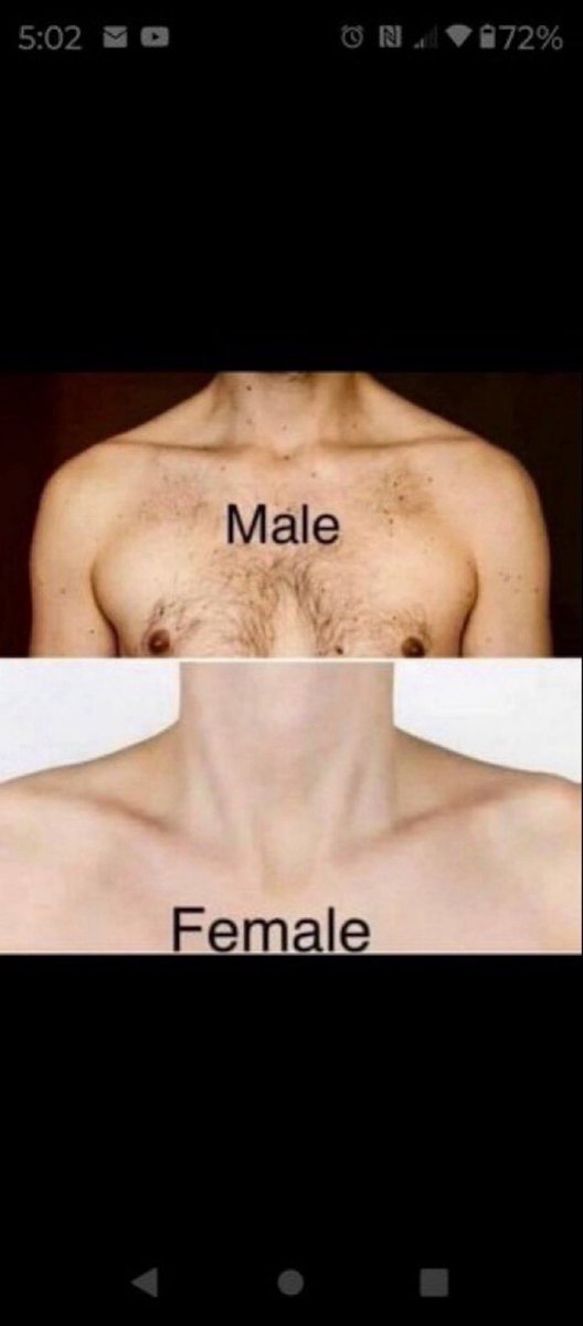 Franks, Randy tweet media