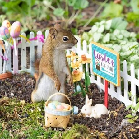 Maribeth Gentry tweet media