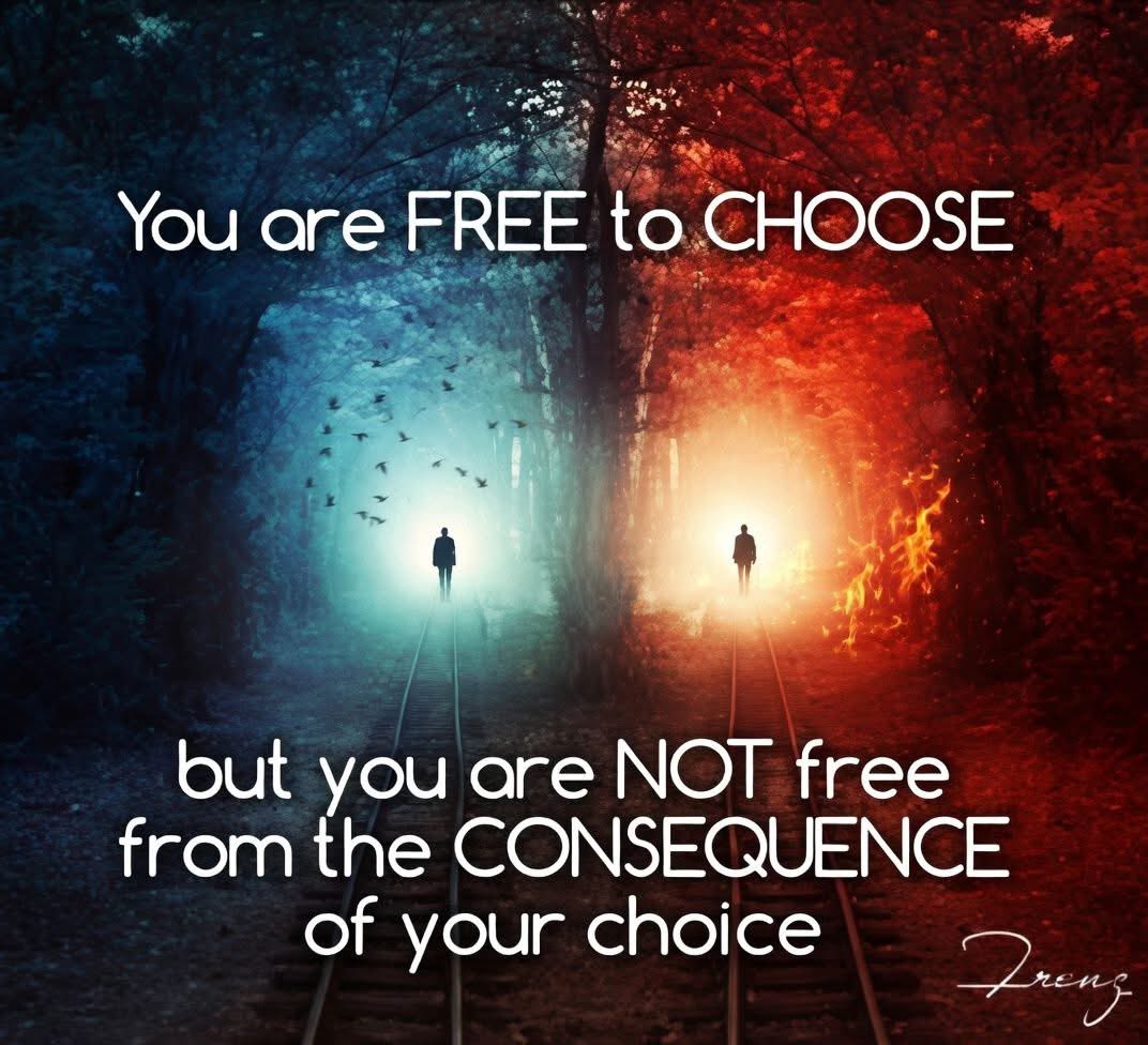 Not Evolution tweet media