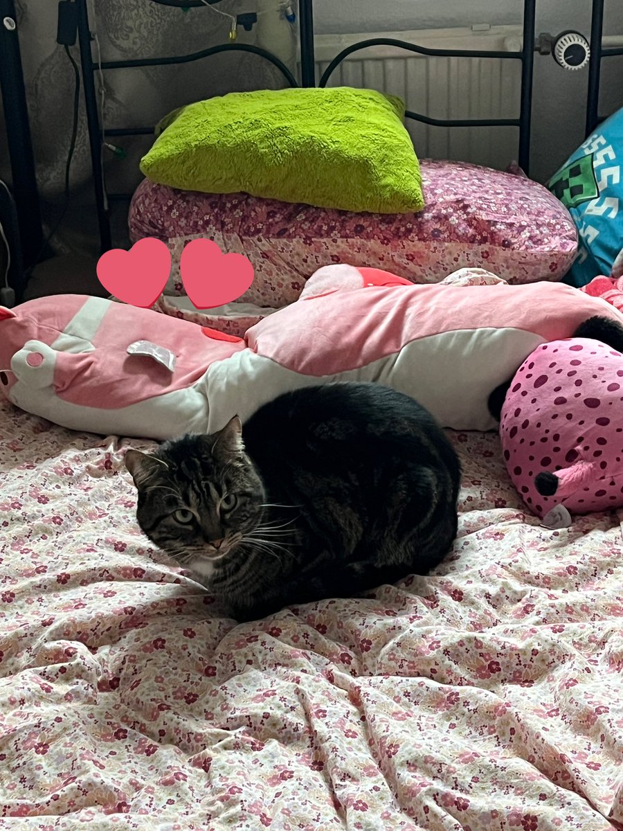 ⊹ ˖ Ი𐑼 nana tweet media