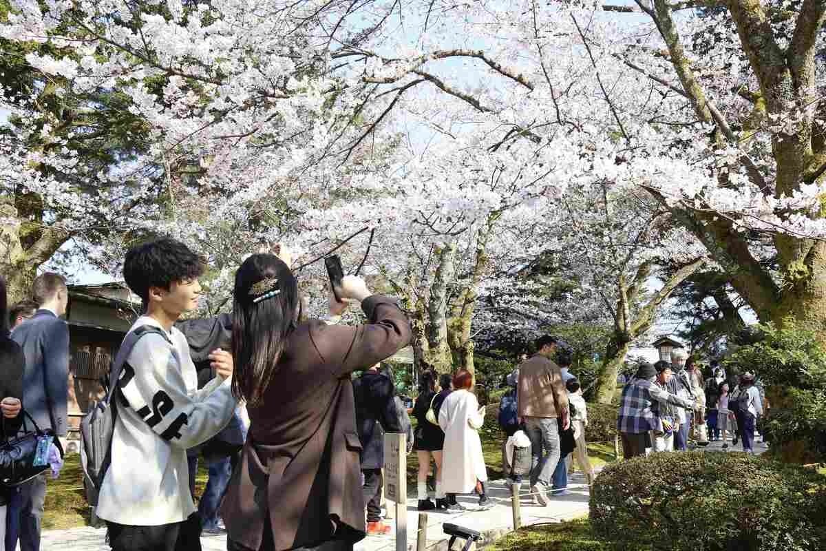 HM: Trip✈ tweet media