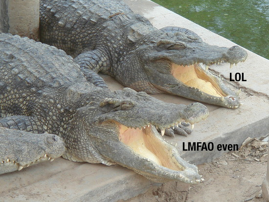 SpasticChud tweet media