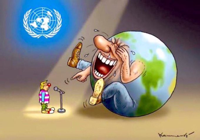 sigi bär tweet media