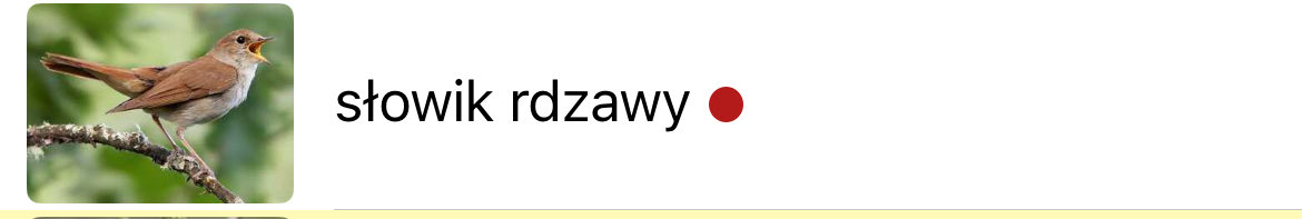 gabi ✨ tweet media