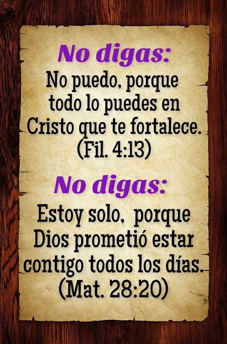 Blasko-Lavayen🇮🇱🇪🇨 tweet media