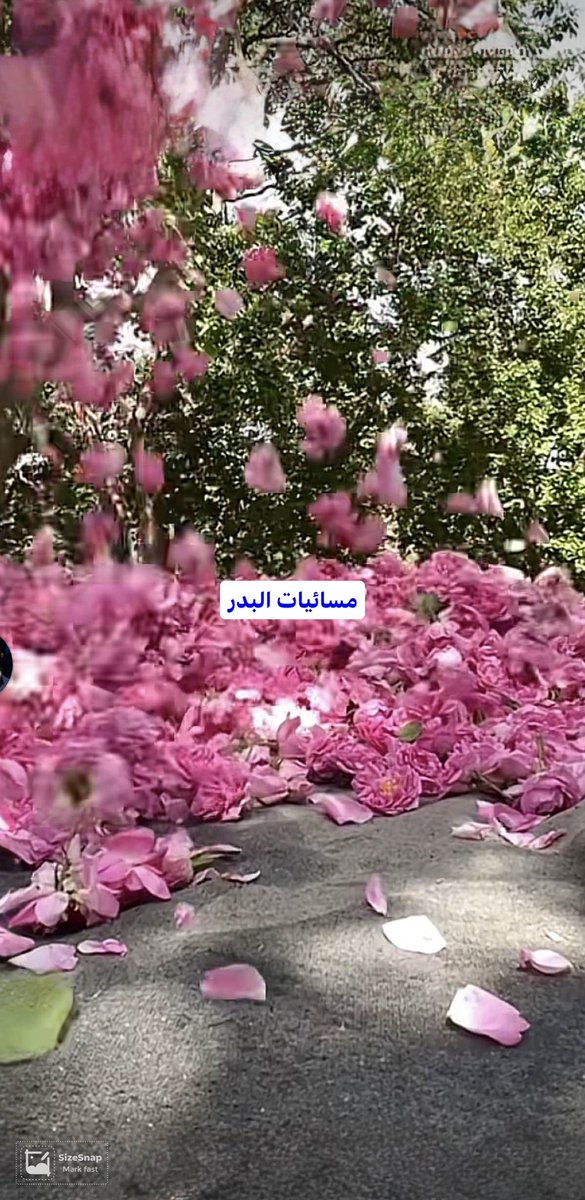 بـــــــدαℓ вɒяـــر✪ tweet media