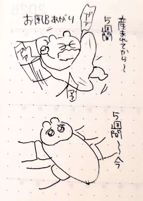 慣れてきた😌 