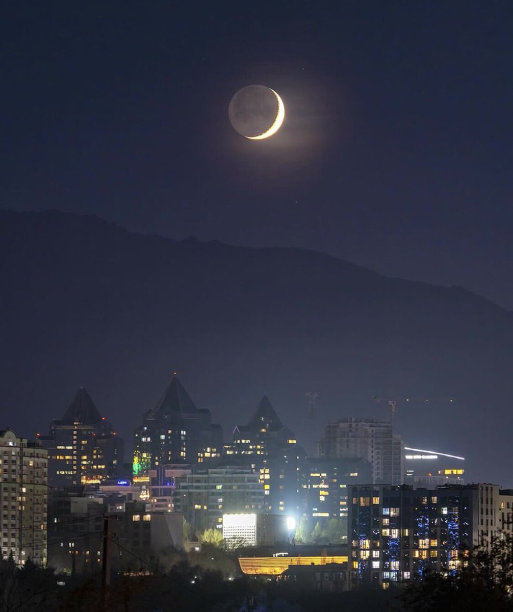 Feson Shokoory tweet media