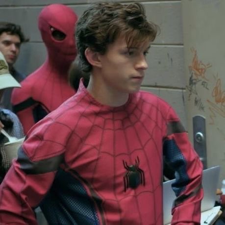 🐻‍❄️ tweet media