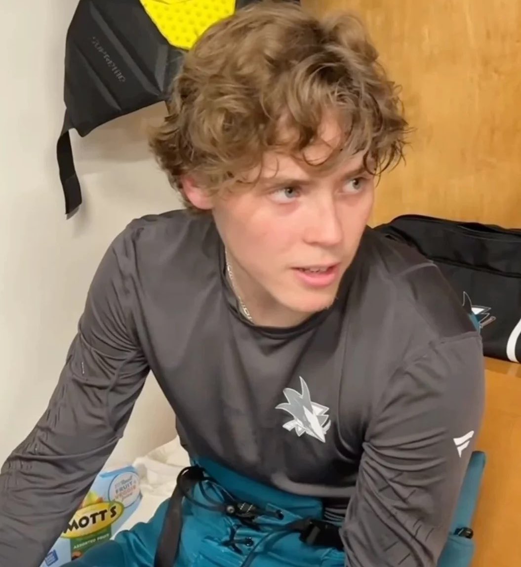 🐻‍❄️ tweet media