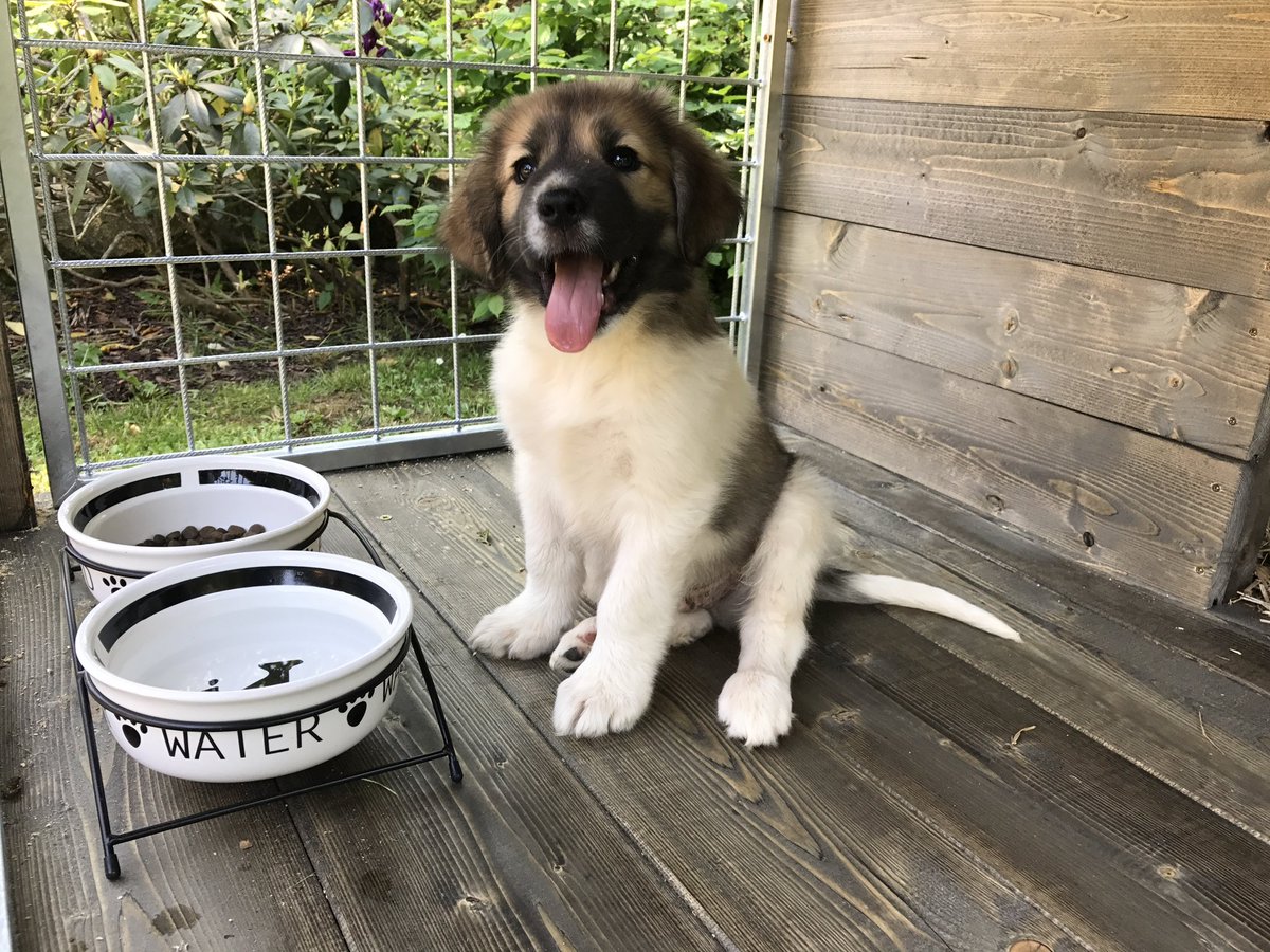 Filip Molčan tweet media