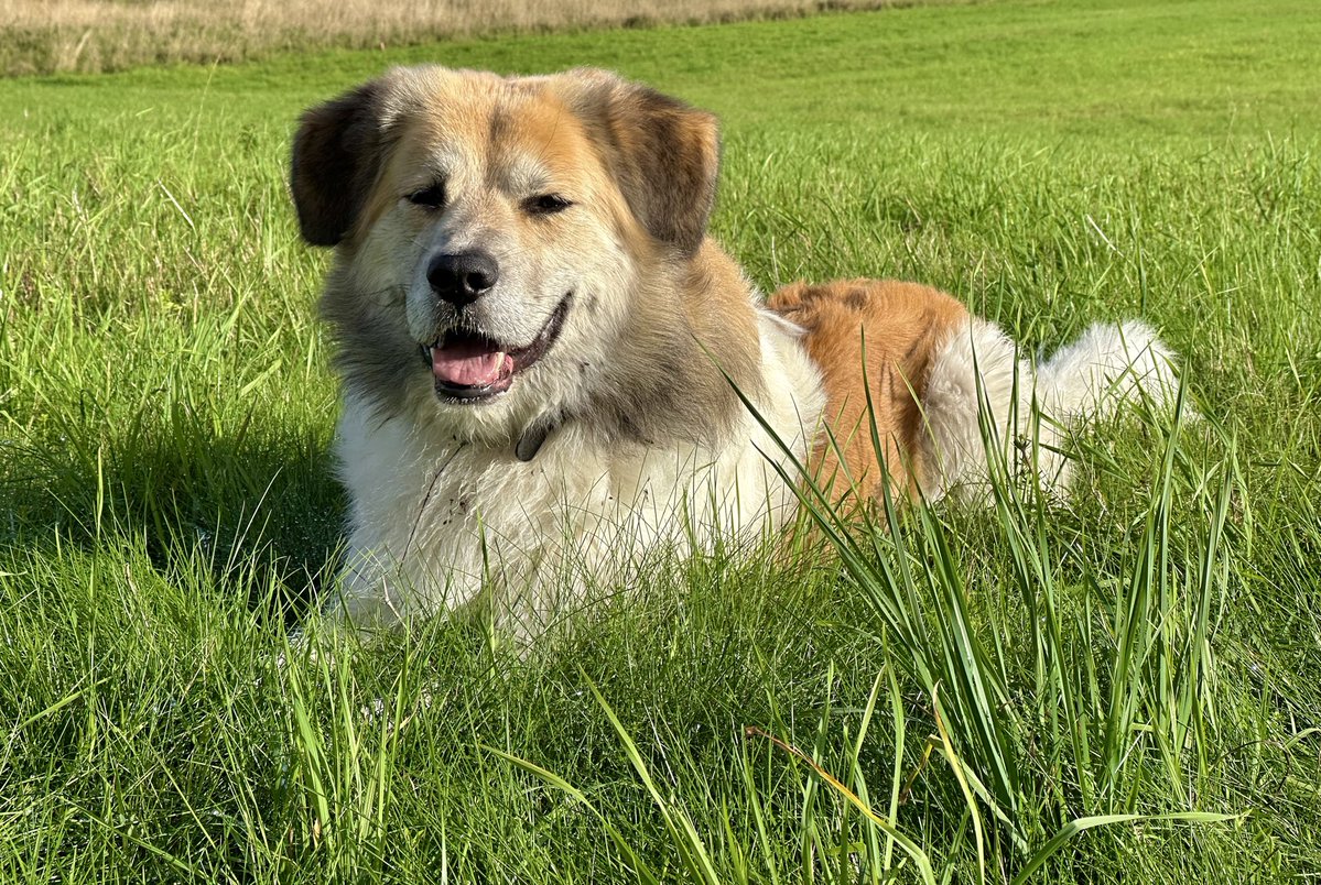 Filip Molčan tweet media