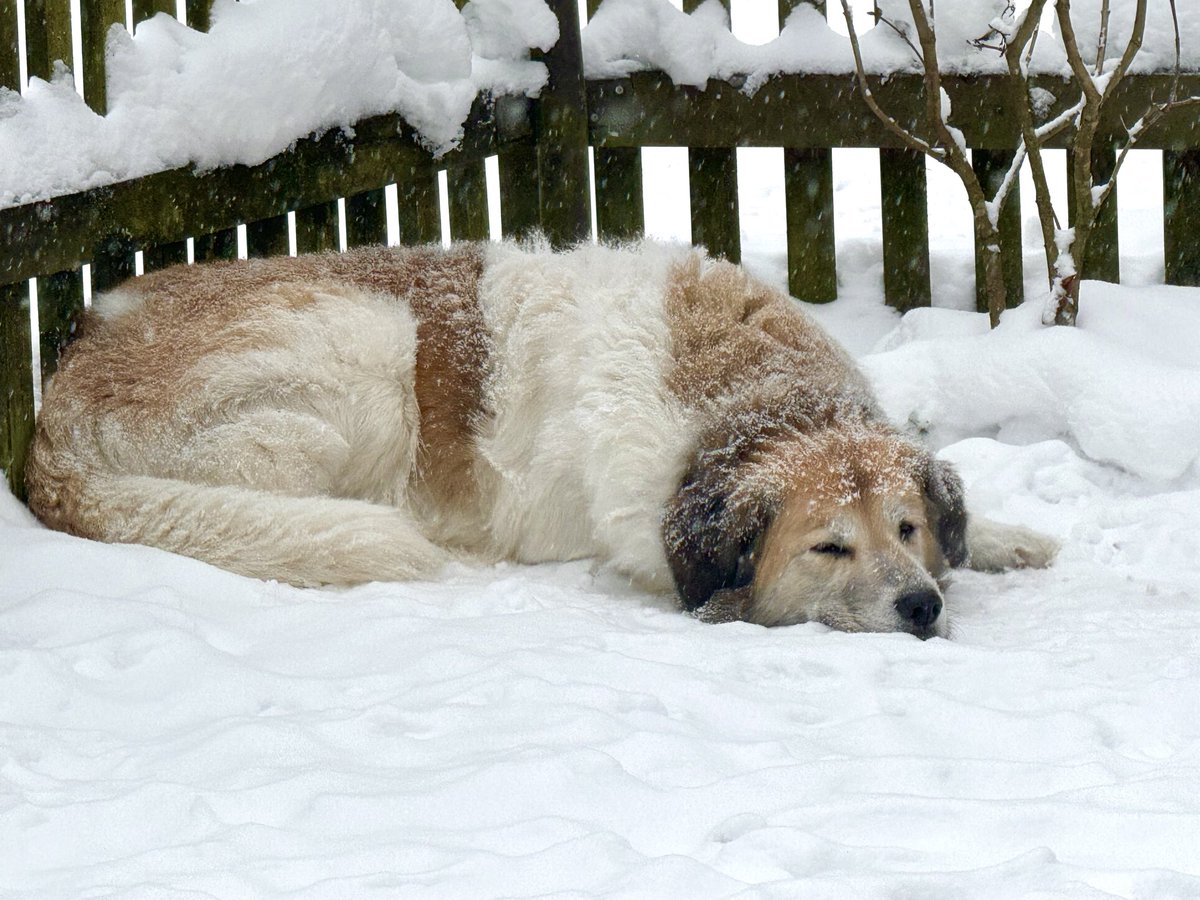 Filip Molčan tweet media