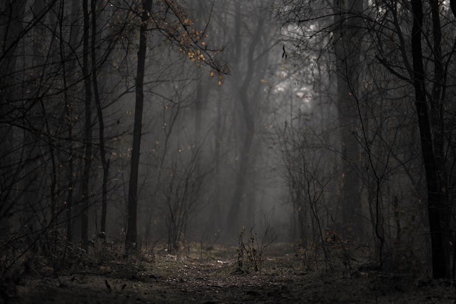 Robbin Greening tweet media