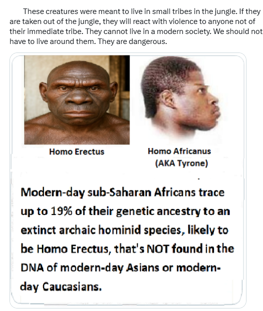 Sujong An tweet media