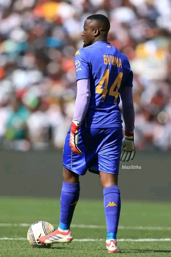 MrksPSLClub tweet media