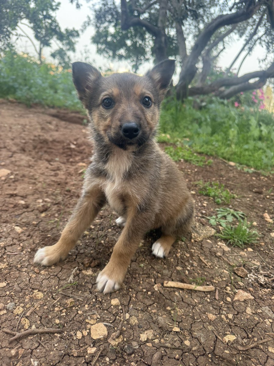 Andrey X tweet media