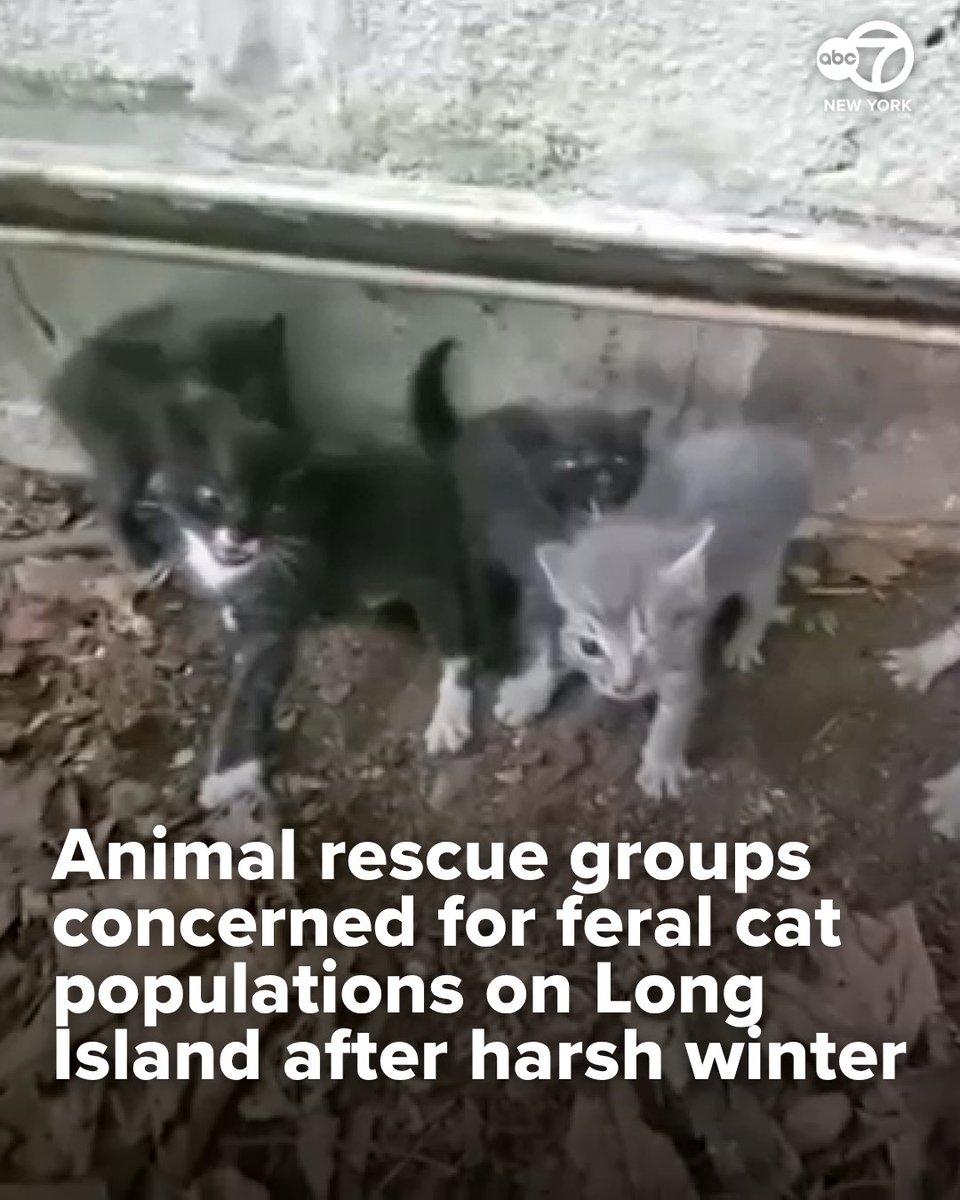 Eyewitness News tweet media