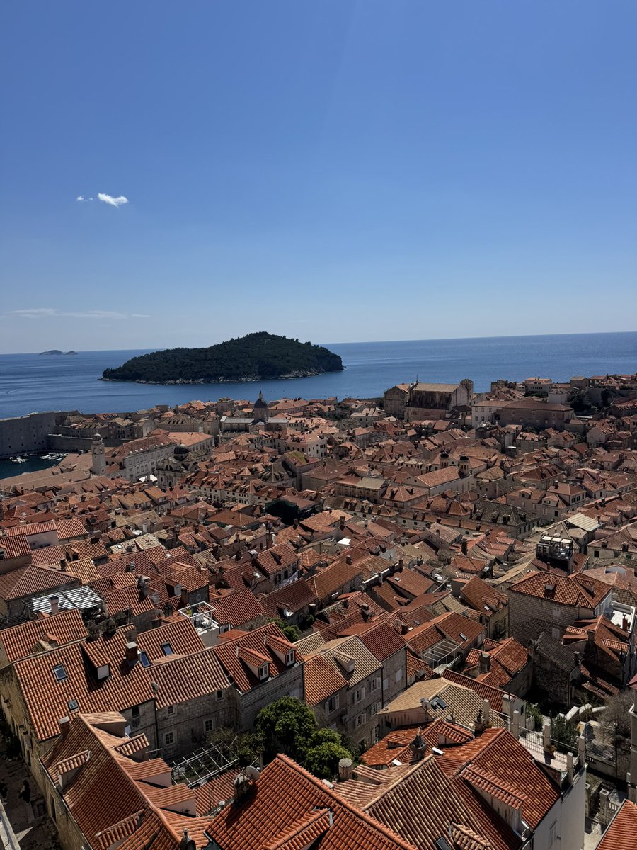 Adl⚡️ tweet media