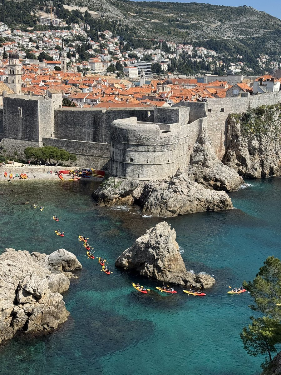 Adl⚡️ tweet media