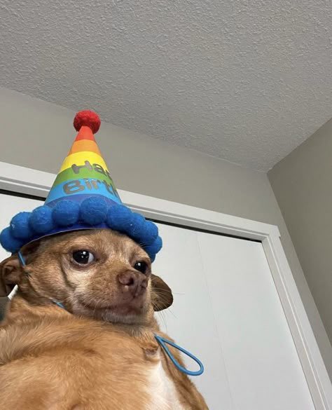 The Kids Are Just Fine tweet media