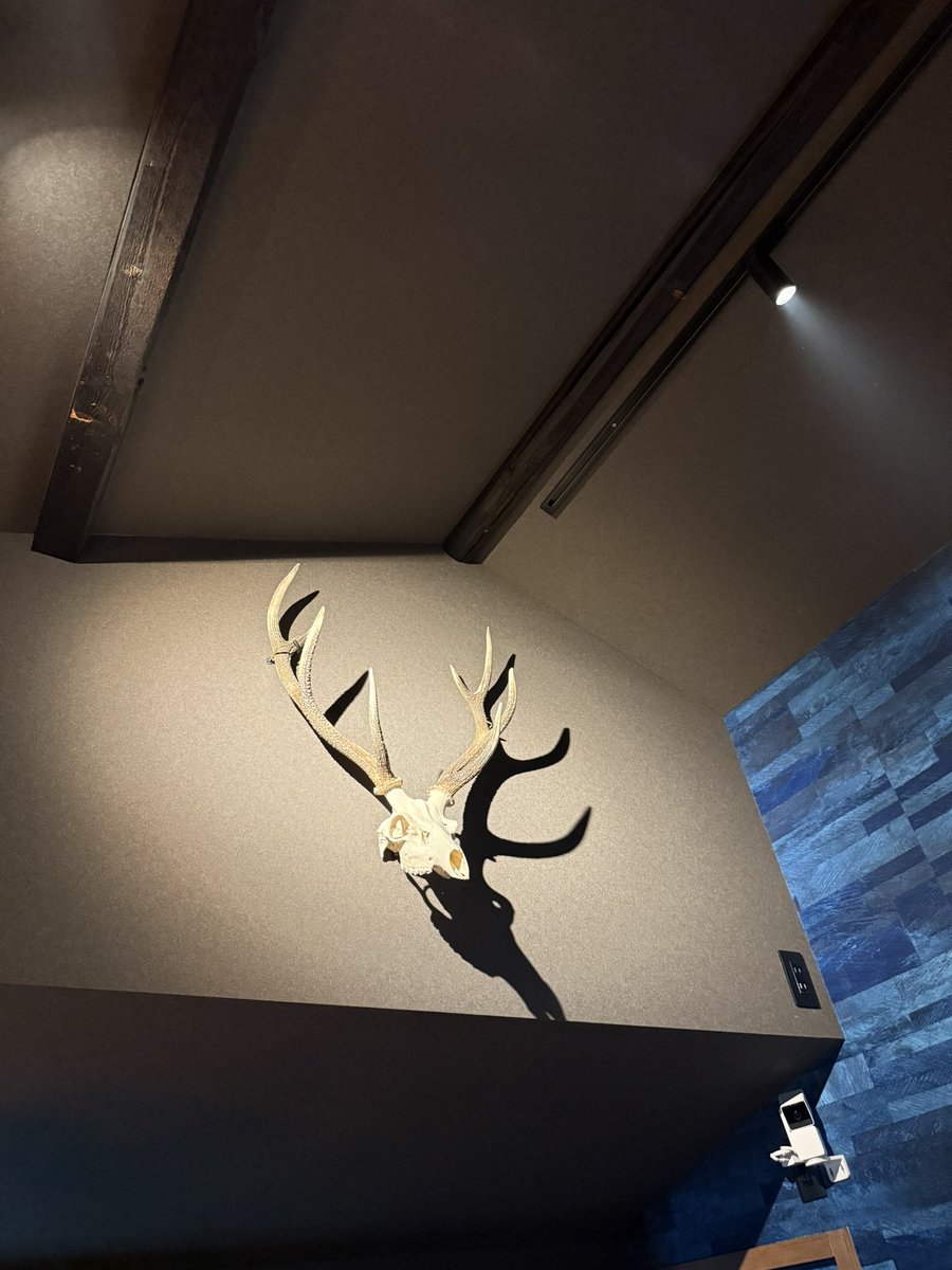 お〜しゃん tweet media