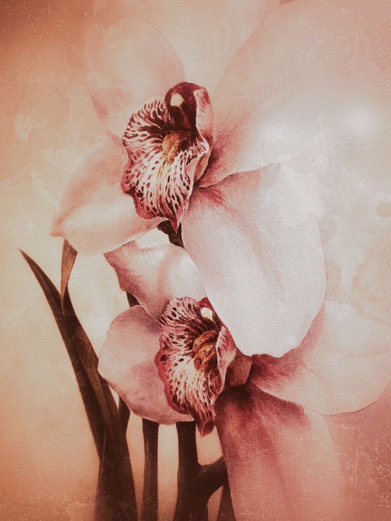 AiIden2K's tweet photo. !🍂♾️.. https://t.co/5C7gnrGsNr
