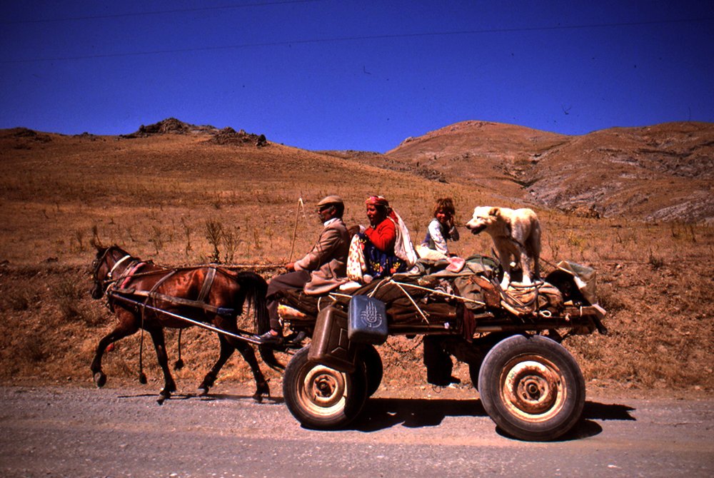 O 0oO0 OO0Oo000OO0 Dil Zarok tweet media