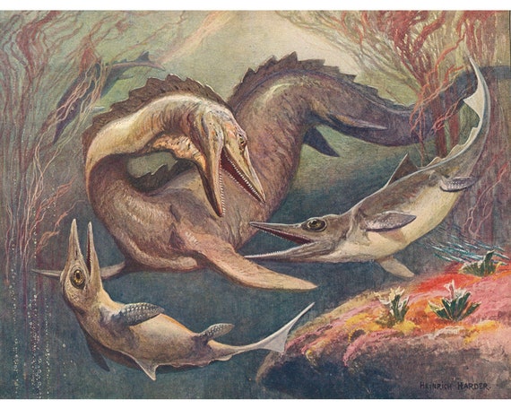 Curly 26 tweet media