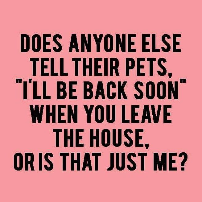 Lori Bauer🇨🇦🏒🥅🔥 tweet media