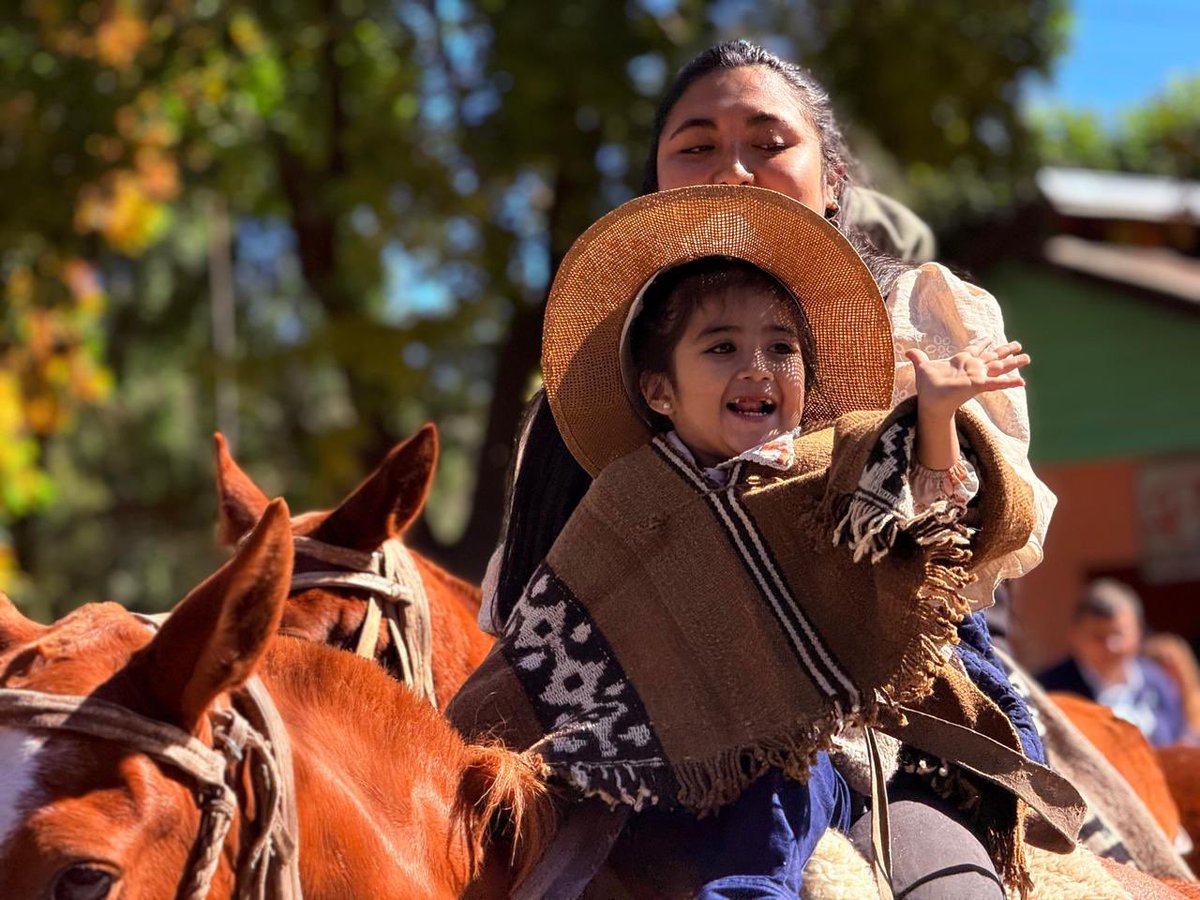 Gabriel Alamo tweet media