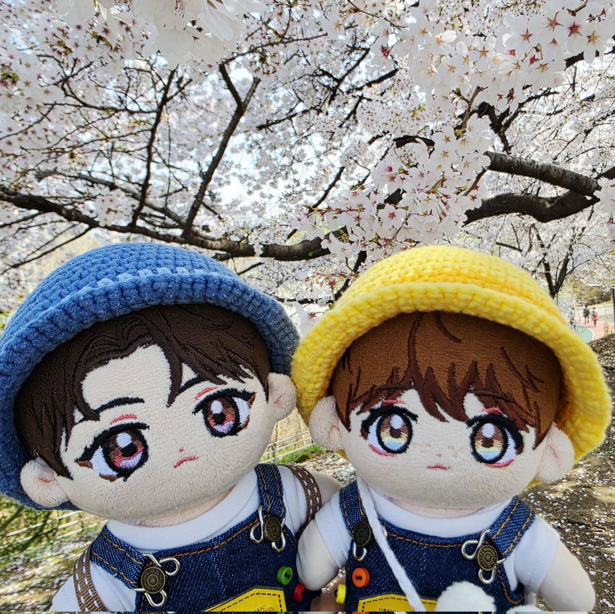 🏈아네트(๑•̀.•́๑)🍊 tweet media