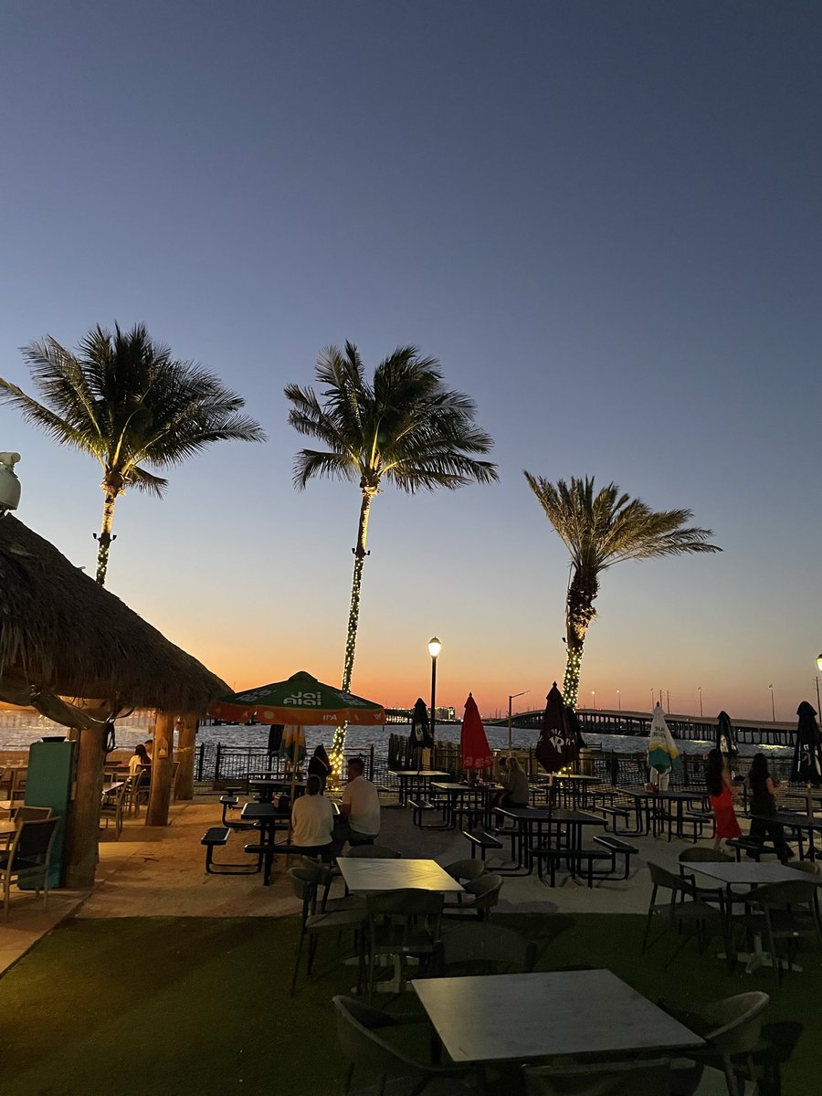 MikeAgain tweet media