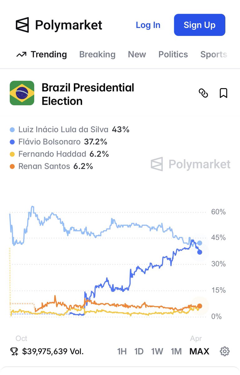 Flavia Ferronato tweet media