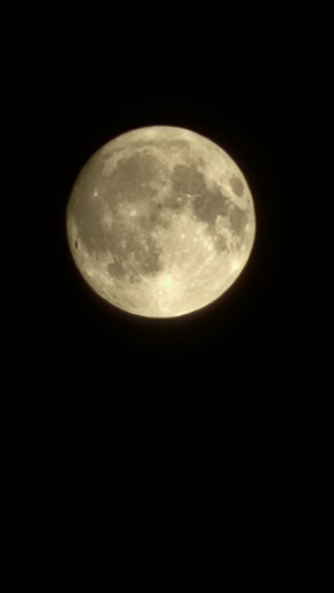 Amine 空条 tweet media