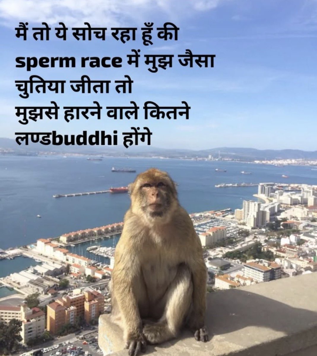 v. Jatin tweet media